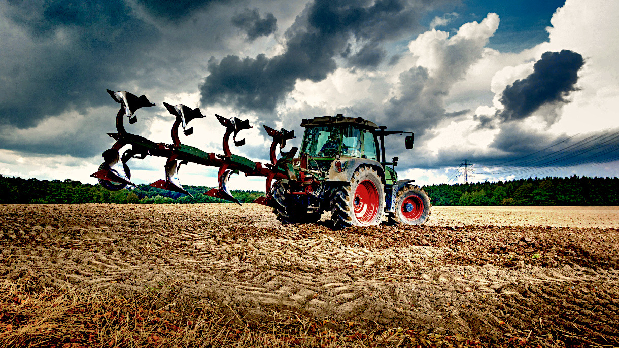 Tractor plows the field